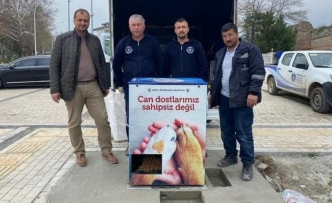 İznik'te can dostlarına yatırım devam ediyor