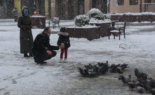 SAADET YILDIRIM İLÇE BAŞKANI KAR YAĞDI KUŞLAR AÇ KALMASIN