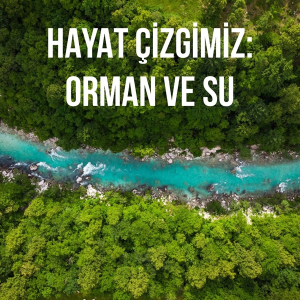 Hayat çizgimiz: Orman ve Su