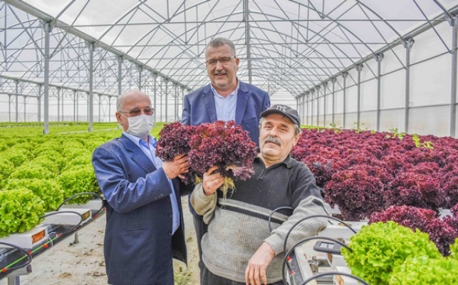 Karacabey, topraksız tarım uygulamalarıyla da rol model olacak