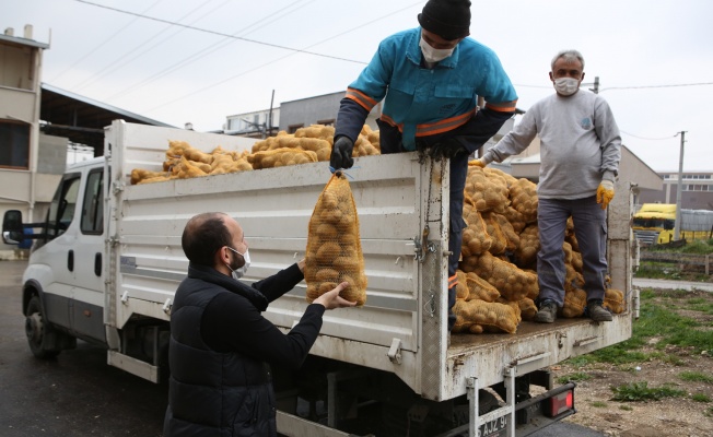 Nilüfer Belediyesi’nden patates üreticisine destek