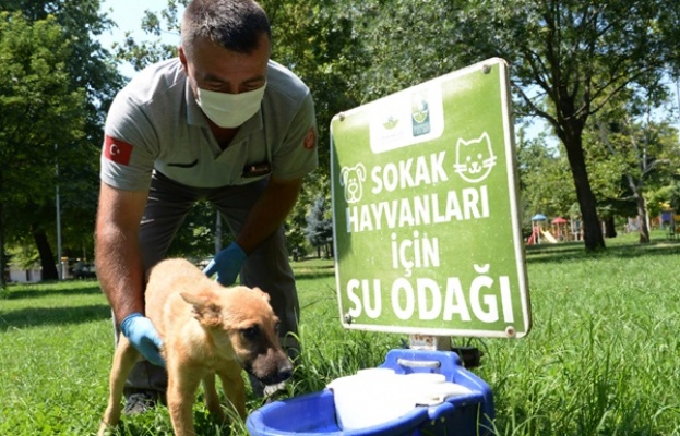 Salgınla Mücadelede Osmangazi Farkı