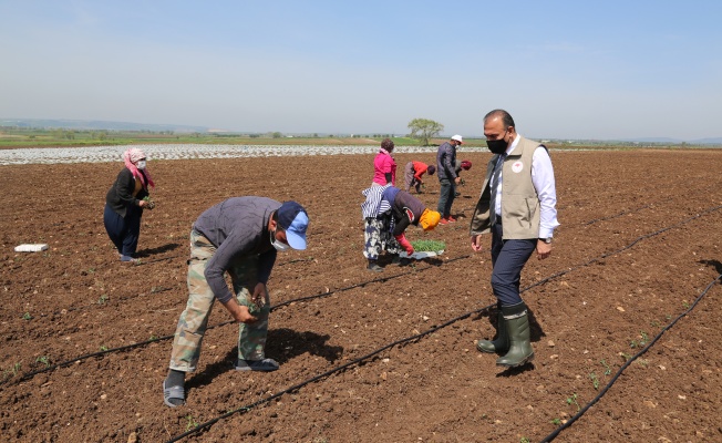 "Mevsimlik Tarım İşçileri Bursa’ya Giriş Yaptı"