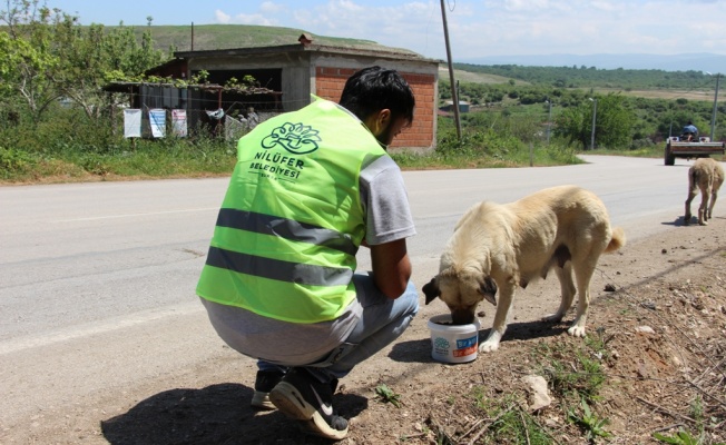 CAN DOSTLARA MAMA VE SU DESTEĞİ SÜRÜYOR