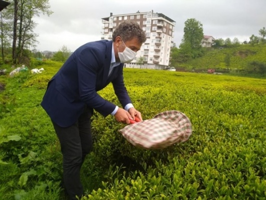 “Mevcut Çay Kanunu yetersiz”