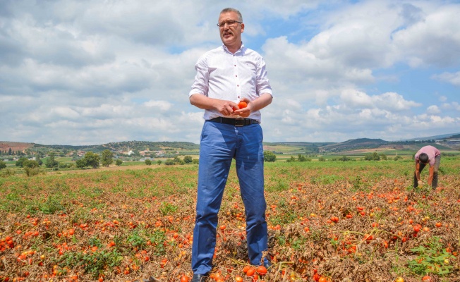 Karacabey’de domates üretimi ve tarımda toprak analizinin önemi  konuşuldu