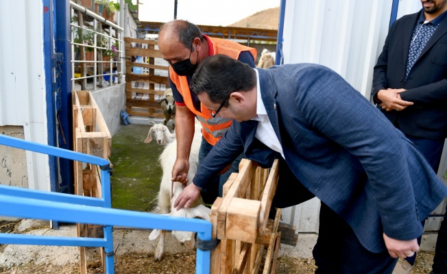 Başkan Kanar'dan küçükbaş yetiştiricisine tam destek