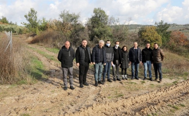 MUDANYA BELEDİYESİ AYÇİÇEK YAĞI VE BUĞDAY UNU ÜRETECEK