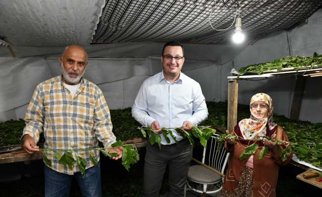 BURSA İPEĞİ MUSTAFAKEMALPAŞA’DA KOZALARINDAN DOĞUYOR