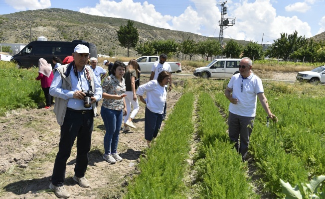 YILDIRIM’DA ‘SİT’ SORUNU ÇÖZÜLÜYOR