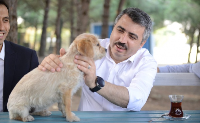 YILDIRIM’DA CAN DOSTLARA ŞEFKAT ELİ