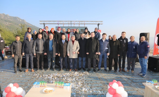 GÜRSU’DA, DOĞANIN KUCAK AÇTIĞI TEPEDE SOKAK HAYVANLARINA YUVA