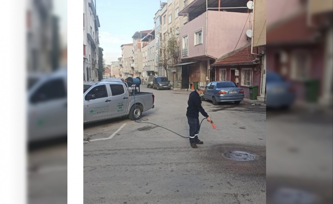 Haşerelere karşı ilaçlama yapıldı