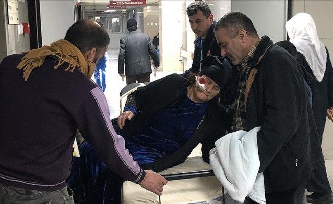 Bursa'da sahipsiz köpeklerin saldırısına uğrayan yaşlı kadın yaralandı