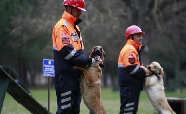 TSK'nın arama köpekleri 78 kişiyi kurtardı! 'sessiz kahramanlar' madalya ile ödüllendirildi