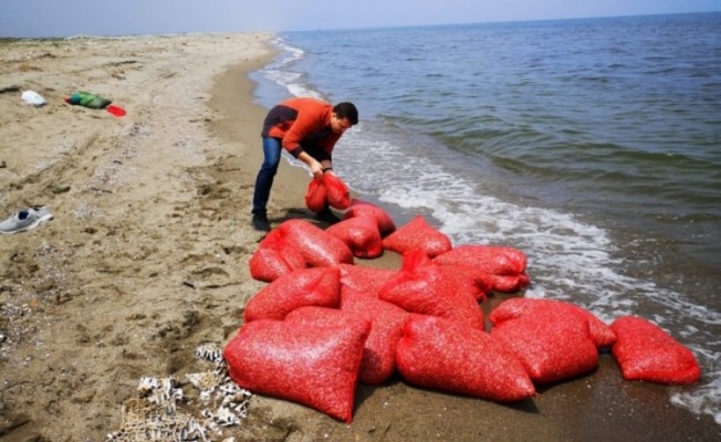 Bursa Mudanya'da 700 kilogram kum şırlanı ele geçirildi