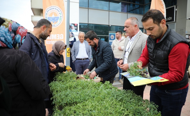 GEMLİK BELEDİYESİ’NDEN ORGANİK TARIMA DEV DESTEK