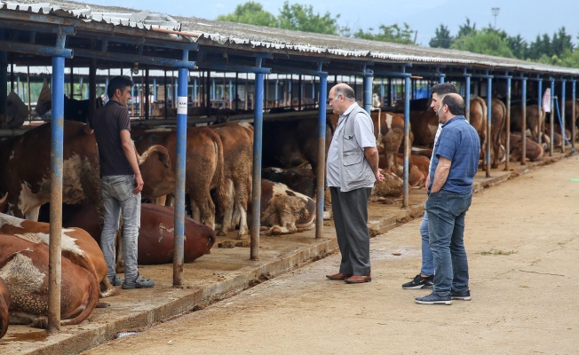 NİLÜFER'DE KURBAN KESİM ALANLARI BELİRLENDİ