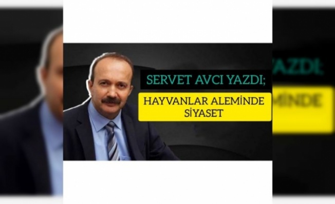 USTA GAZETECİ SERVET AVCI'DAN ÖNEMLİ BİR YAZI " HAYVANLAR ALEMİNDE SİYASET"