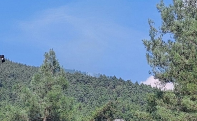 Orhaneli'de ormanlık alanda yangın
