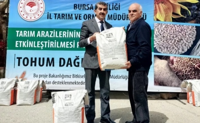 Bursa'da İrfaniyeli üreticilere ayçiçeği tohumu desteği