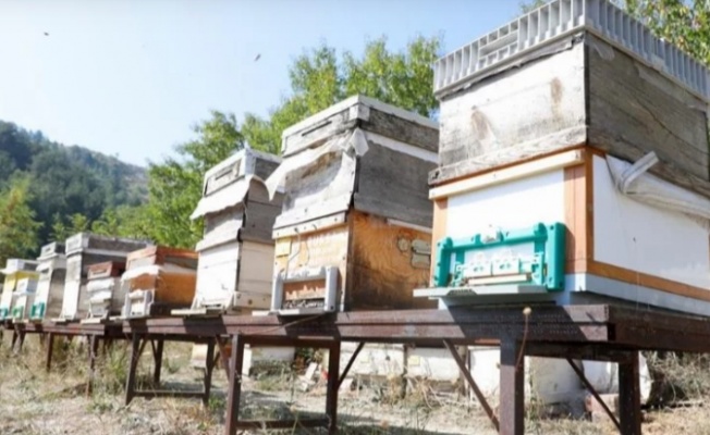 Bursa İnegöl arıcılık ve balda da marka olacak