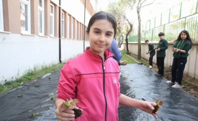 Nilüfer'de öğrenciler tarımla tanıştı