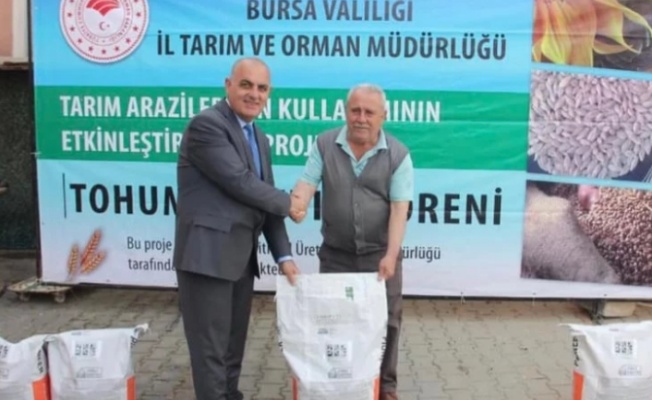 Mudanyalı üreticilere ayçiçeği tohumu dağıtıldı
