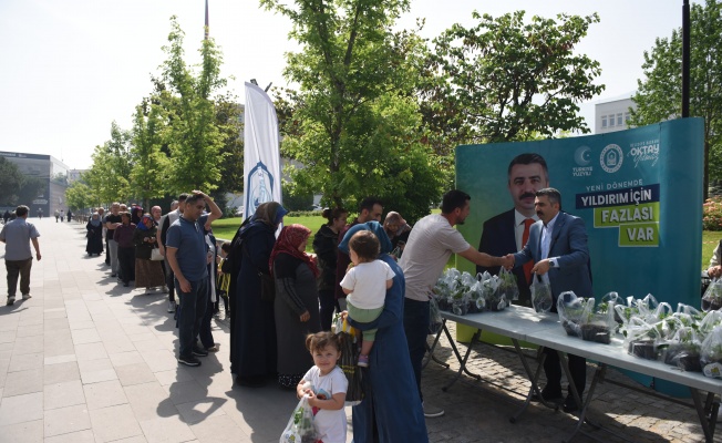 YILDIRIM BELEDİYESİ’NDEN 50 BİN FİDE