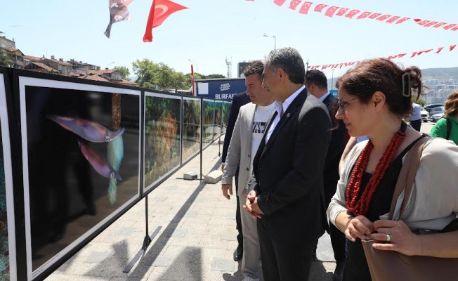 Başkan Deviren deniz dibi temizliğine katıldı