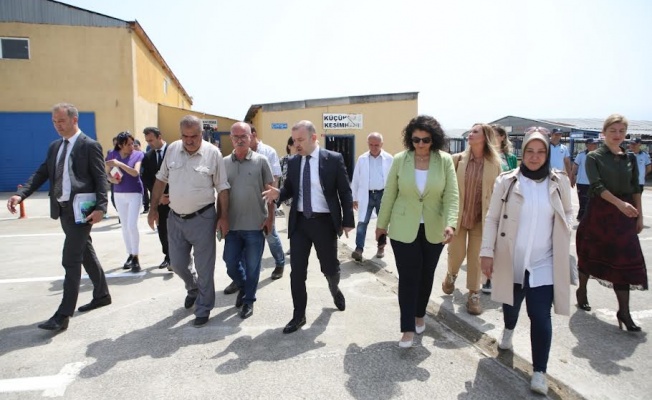 Nilüfer Kurban Bayramı’na hazır