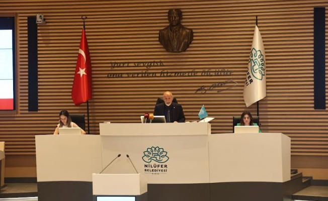 Sokak hayvanlarının sorunlarına ‘komisyon’ eli değecek