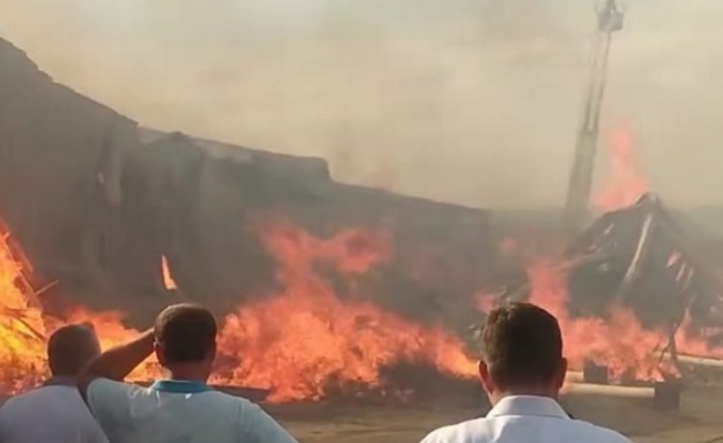 Bursa Yenişehir'deki yangın kontrol altında!
