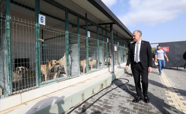 İnegöl’de Sokak Hayvanları İçin Yeni Adımlar Atılıyor