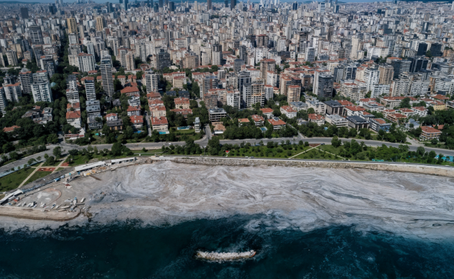Marmara Denizini Müsilaja Karşı Korumanın Yolu  Atıksu Arıtımından Geçiyor