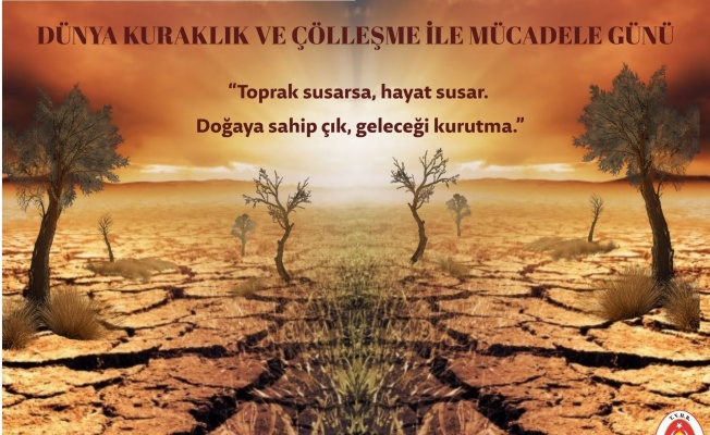 17 Haziran Dünya Çölleşme ve Kuraklıkla Mücadele Günü