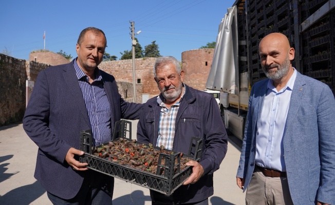 Bayram Öncesi İznik’te Mezarlıklar Çiçek Açıyor