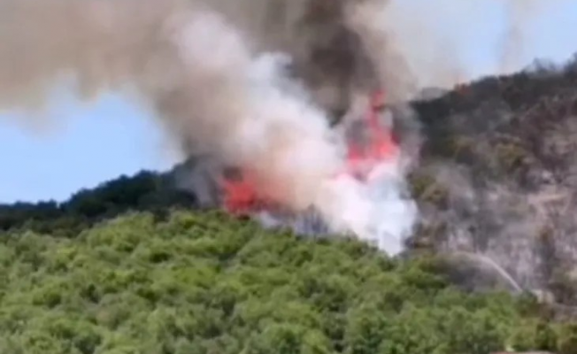 Bursa'da Yenişehirli çiftçiler yangın seferberliği verdi