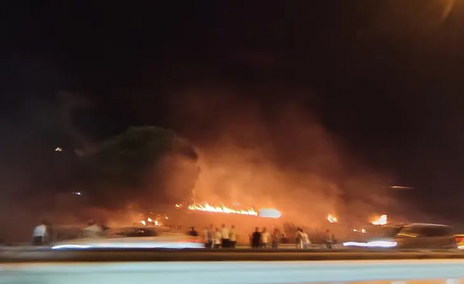 Bursa Mudanya Yolu'nda alevler yükseldi!