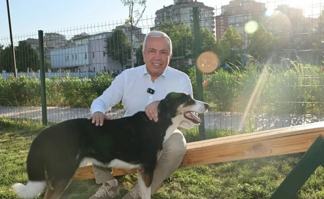 Bursa Nilüferde can dostlar yeni yuvalarına kavuştu