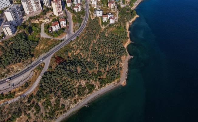Gemlik'e Yeni Sahil Yürüyüş Yolu