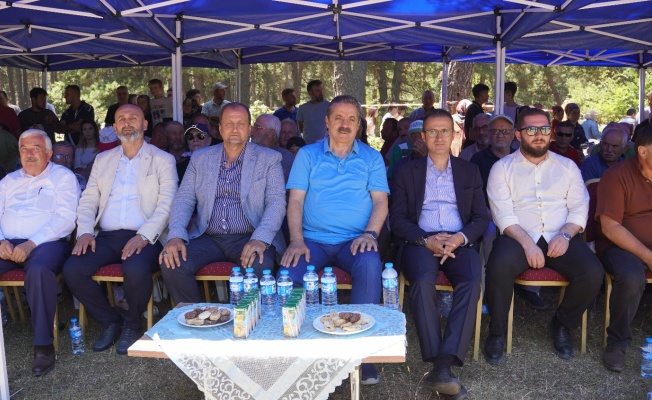 Alıç Yaylası Kıran Kırana Güreşlere Sahne Oldu
