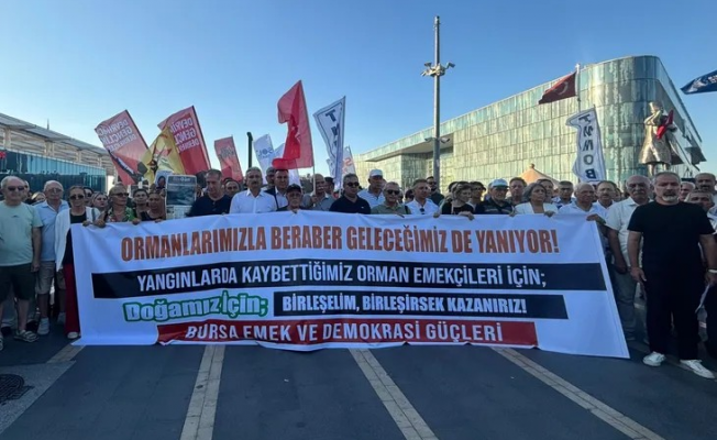 Artan orman yangınlarına Bursa'dan ses oldular! Mücadelede toplum temelli yaklaşık çağrısı