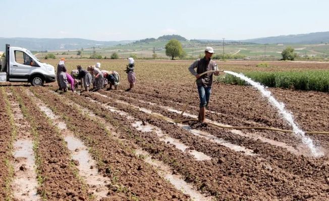 Bursa Yenişehir Ovası'ndan su krizi uyarısı! Yenişehir’de su seviyesi tehlikede!