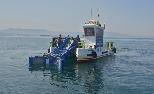 Büyükşehir'den deniz temizliği