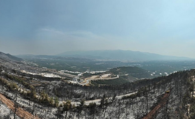 CİĞERLERİMİZ YANDI