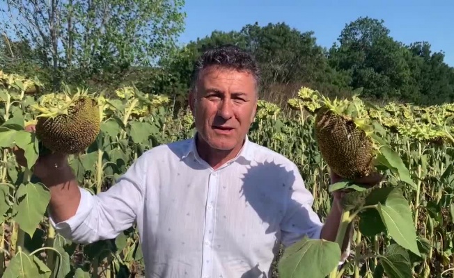 CHP BURSA MİLLETVEKİLİ ORHAN SARIBAL: “AYÇİÇEĞİNDE ALIM FİYATI MALİYETİN ALTINDA, ÜRETİCİ ZARARDA”
