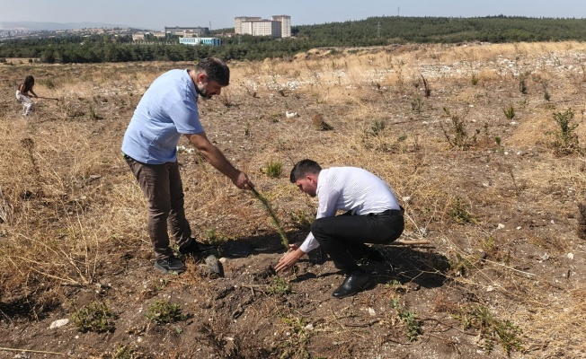 SİGARAYI BIRAKAN VATANDAŞLAR FİDAN DİKİMİ GERÇEKLEŞTİRDİ