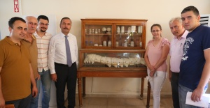 Sifali Bitkilerim Koza Tup Bebek Merkezi
