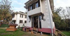 Osmangazi’de Villaların Sahibi Kediler
